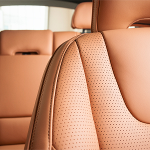 Lederhilfsmittel image