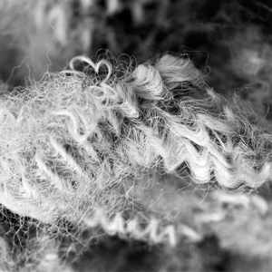 Lederhilfsmittel image