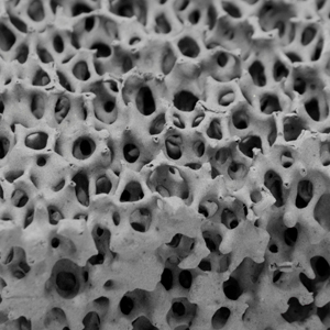 Lederhilfsmittel image