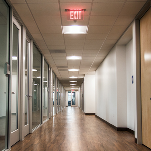 Lederhilfsmittel image